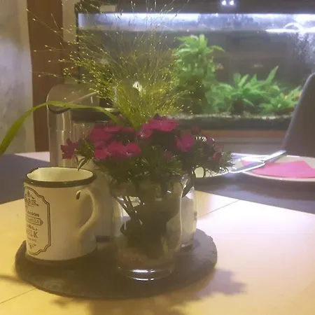 酒店 中央酒店 3*